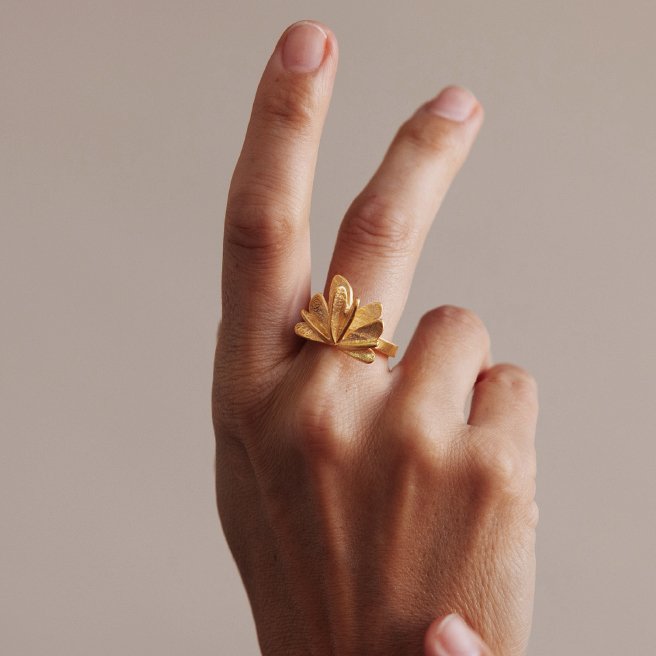 ANILLOS 