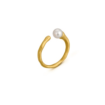 ANILLO DORADO ECLAT