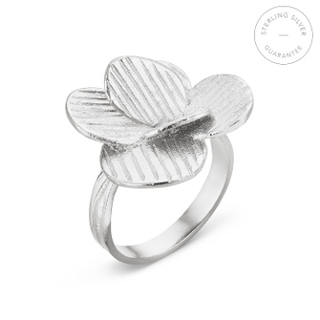 ANILLO DE PLATA PAMPALONIA