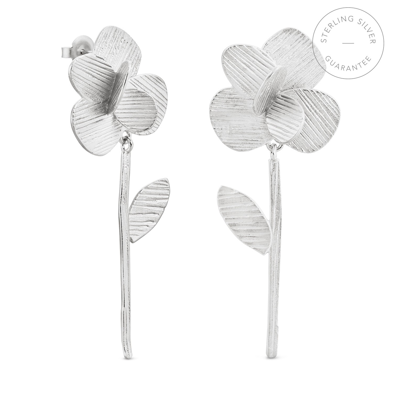 ARRACADES DE PLATA PAMPALONIA LLARGUES