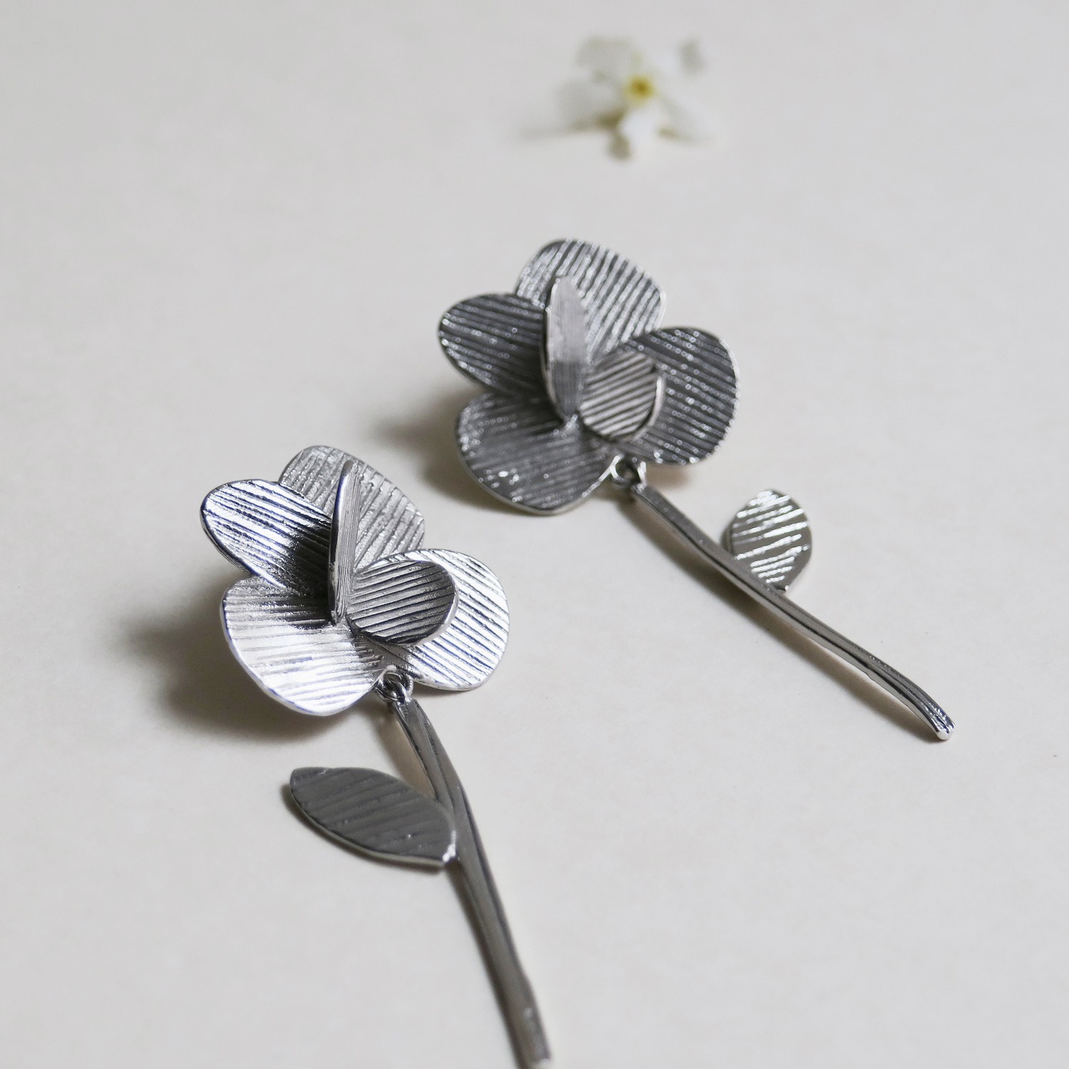 ARRACADES DE PLATA PAMPALONIA LLARGUES