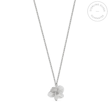 GARGANTILLA DE PLATA PAMPALONIA CADENA