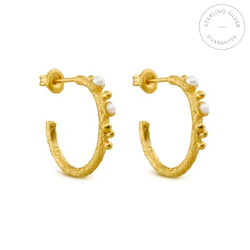 PENDIENTES AROS DORADOS GUSPIRA